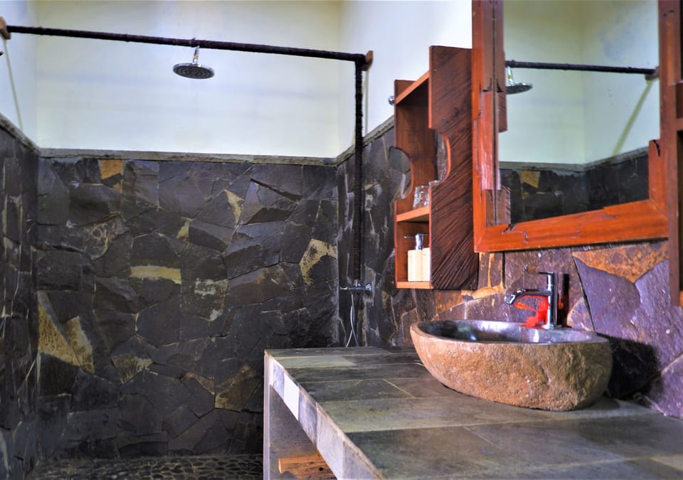 Shower, free toiletries, hair dryer, slippers