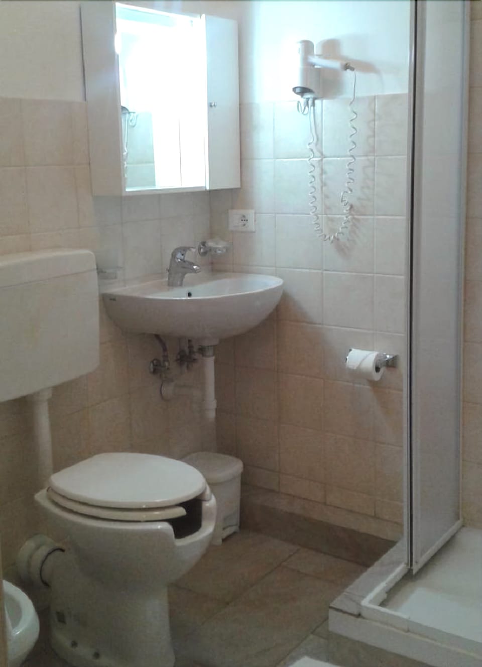 Shower, hair dryer, bidet, towels