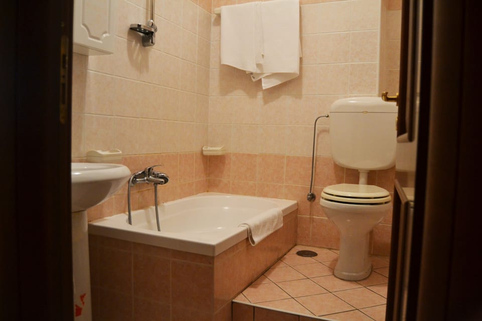 Basic Double or Twin Room | Bathroom | Free toiletries, hair dryer, bidet, towels