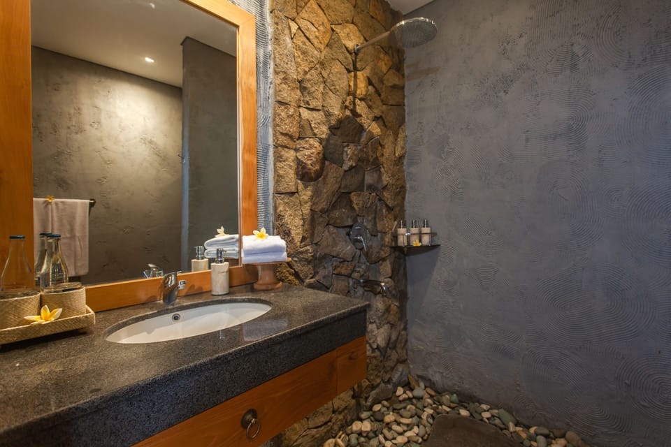 Shower, free toiletries, bidet, towels