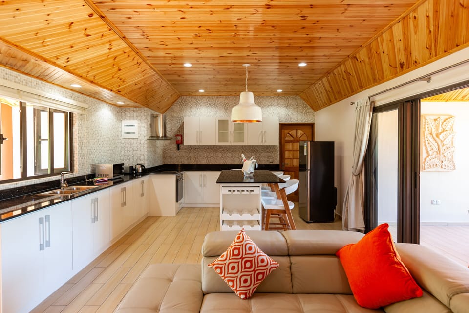 Luxury Penthouse | Living area | Plasma TV, fireplace