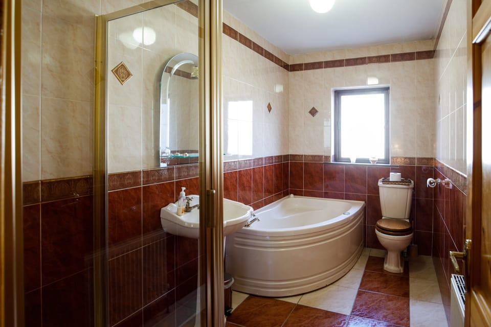 Shower, free toiletries, hair dryer, towels