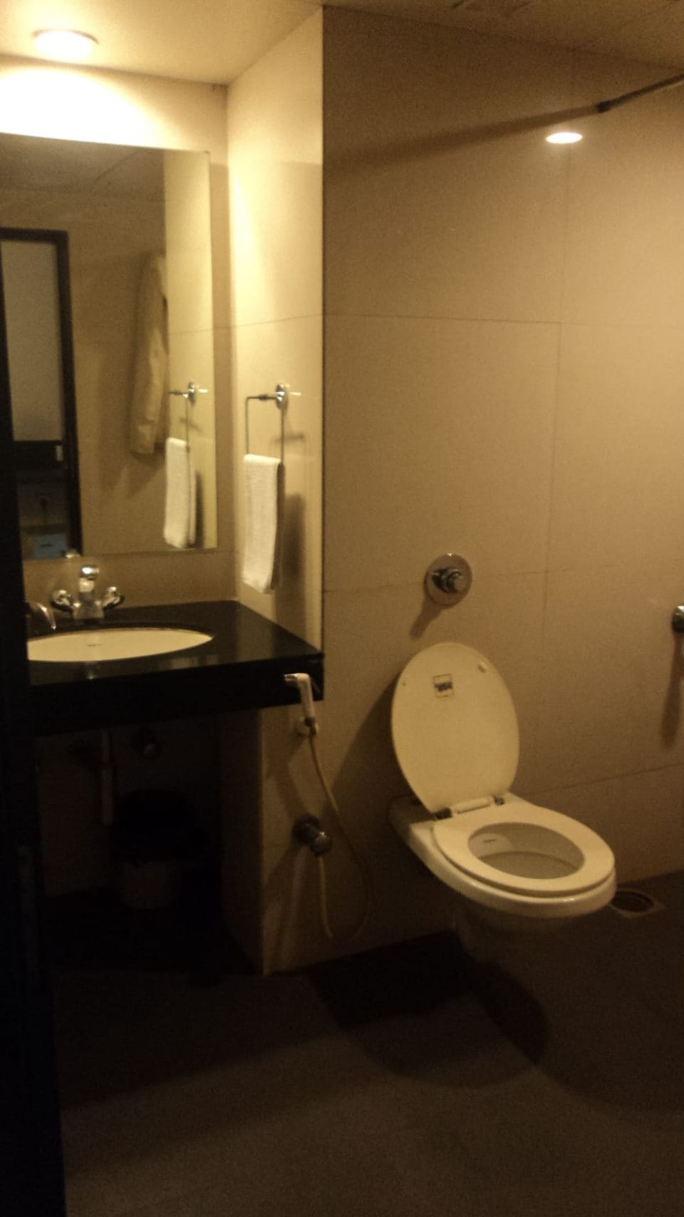 Shower, free toiletries, towels, soap