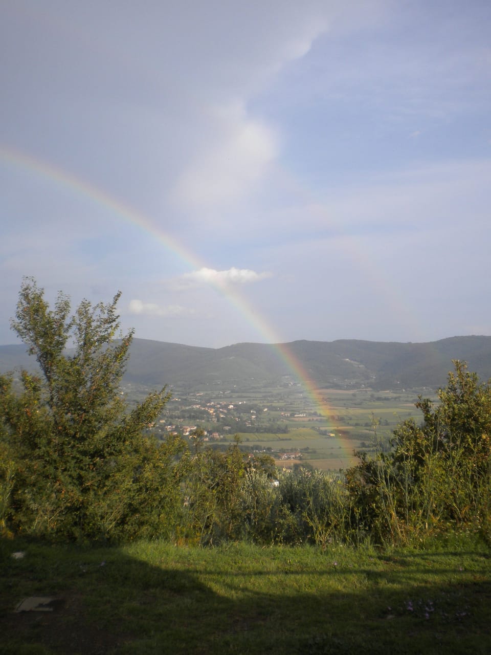 View from property