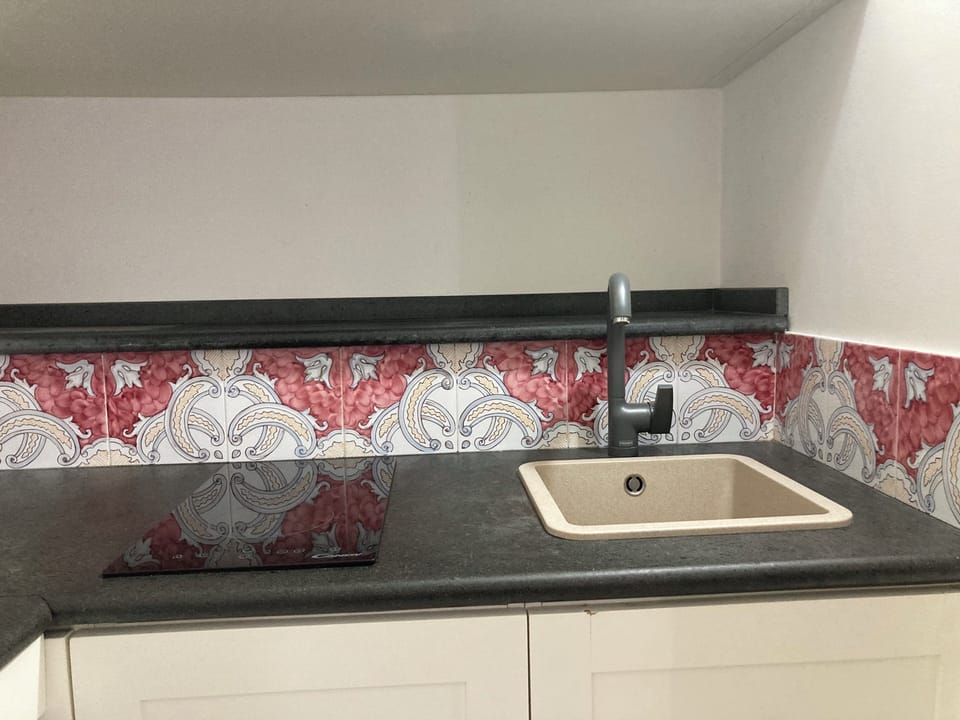 Apartment, 1 Bedroom | Private kitchen | Fridge, stovetop, dishwasher, coffee/tea maker