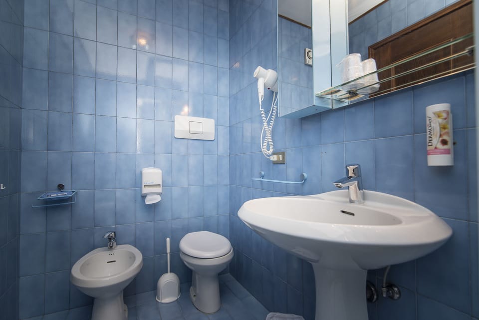 Shower, free toiletries, hair dryer, bidet