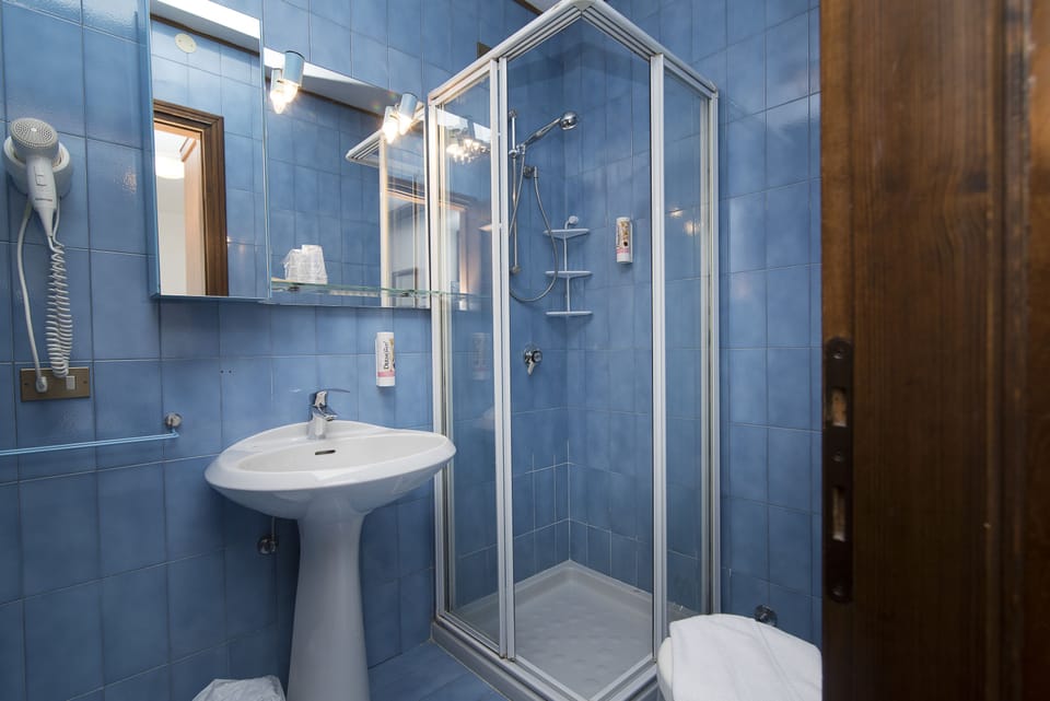 Shower, free toiletries, hair dryer, bidet