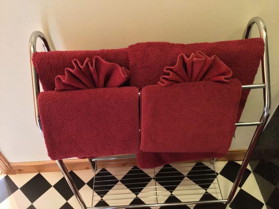 Combined shower/tub, free toiletries, hair dryer, towels