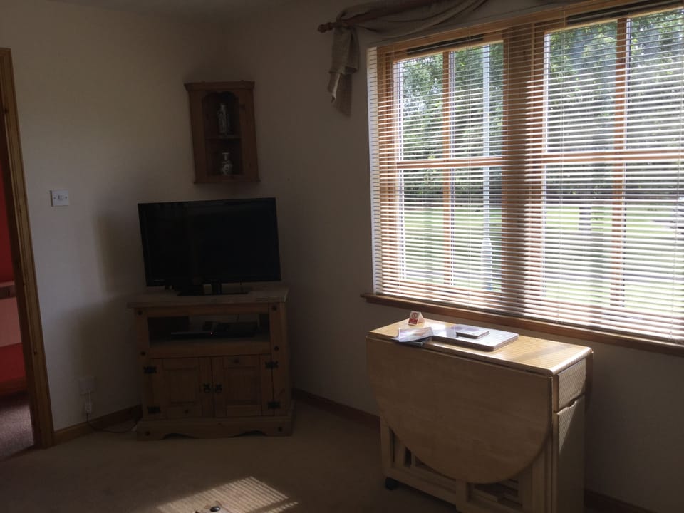 Two-Bedroom Apartment | Room amenity