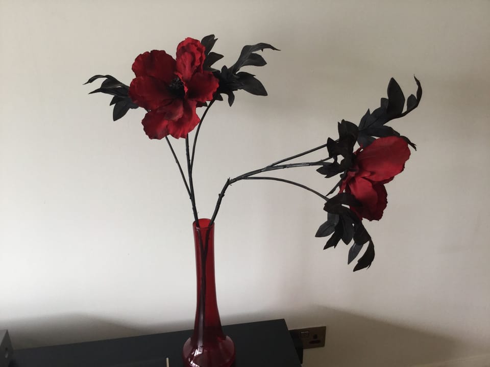 Apartment | Room amenity