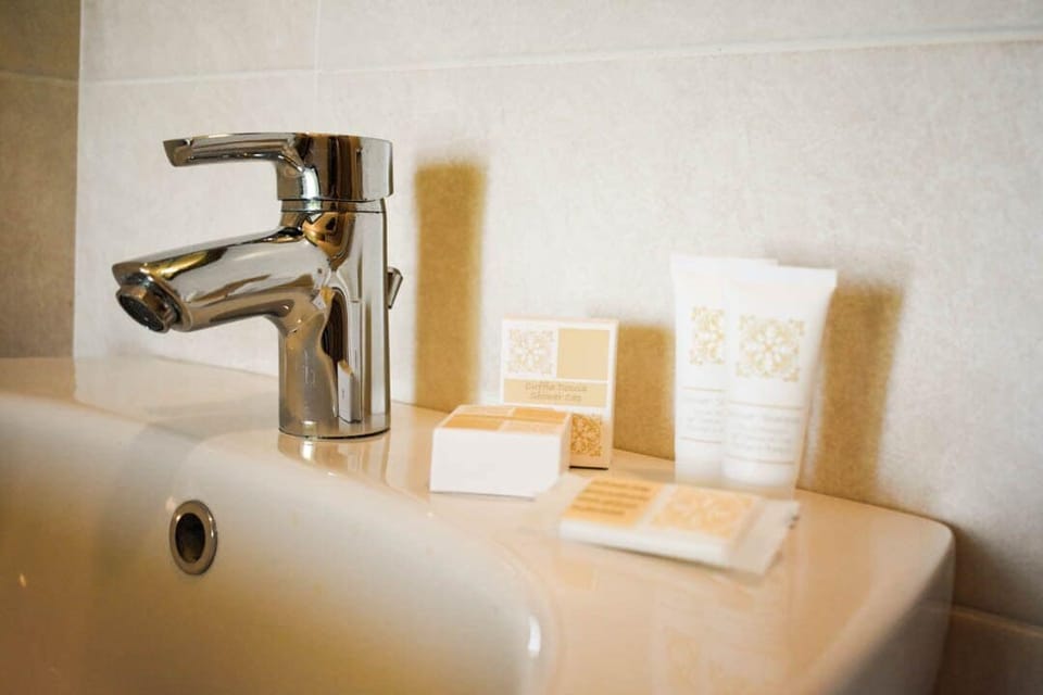 Shower, free toiletries, hair dryer, bidet