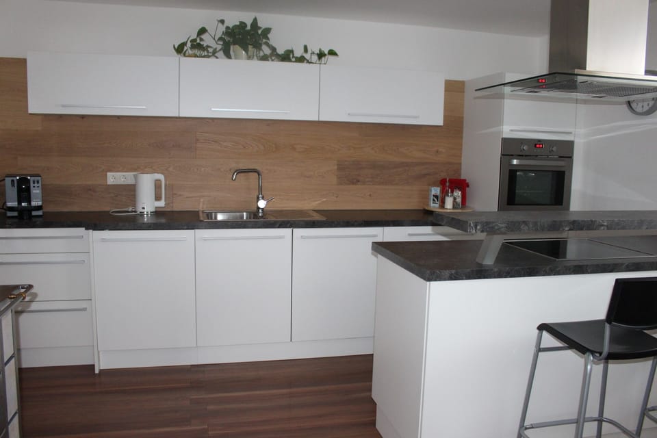 Family Apartment, 2 Bedrooms, Balcony, Mountain View | Private kitchen | Fridge, microwave, oven, stovetop