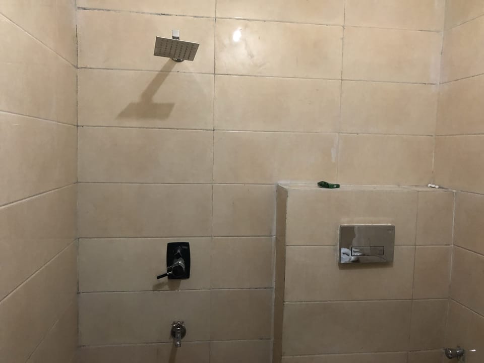 Deluxe Double Room, 1 King Bed | Bathroom shower