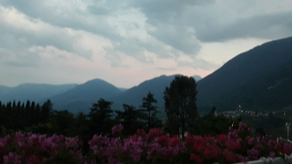 Economy Room, 2 Bedrooms, Mountain View | View from room