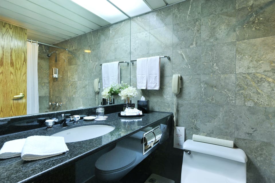 Shower, free toiletries, hair dryer, slippers