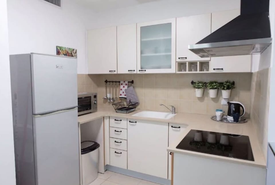 Apartment, City View | Private kitchenette | Fridge, microwave, stovetop, coffee/tea maker