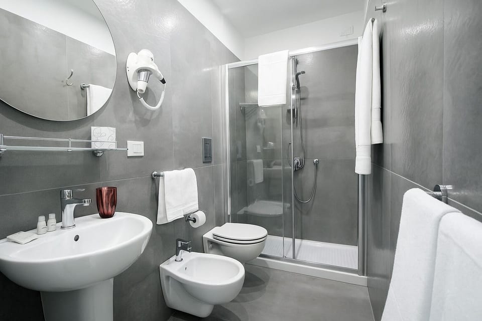 Deluxe Double or Twin Room | Bathroom | Shower, free toiletries, hair dryer, bidet
