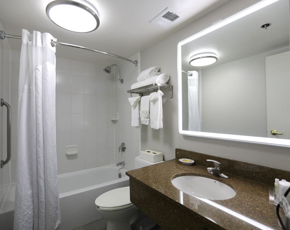 Combined shower/tub, free toiletries, hair dryer, towels