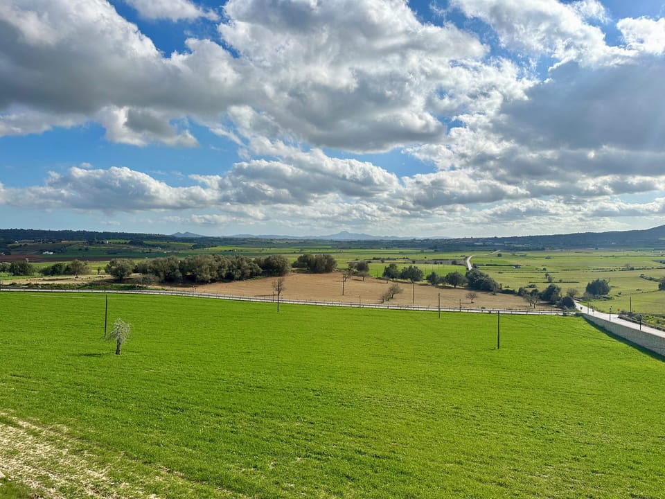 View from property