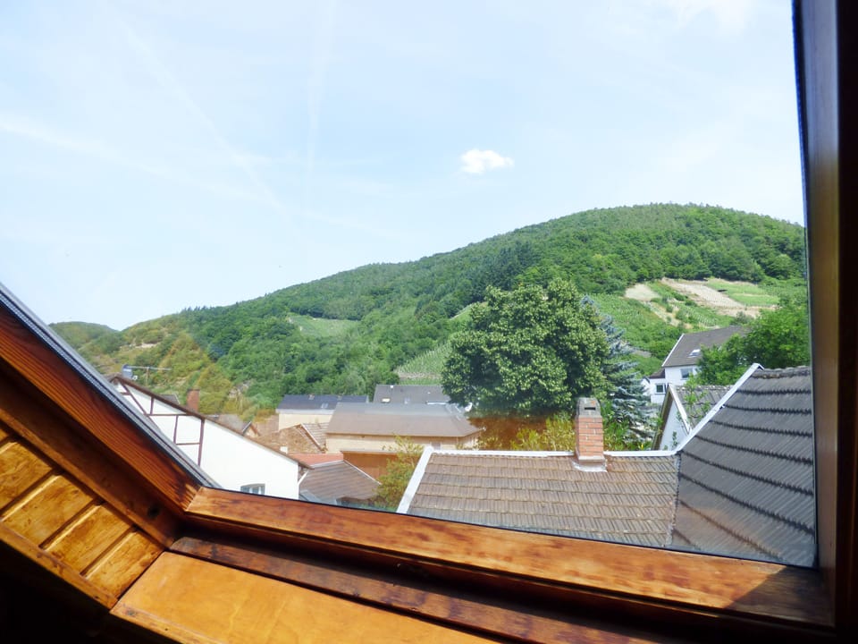 Luxury Condo, 2 Bedrooms | View from room