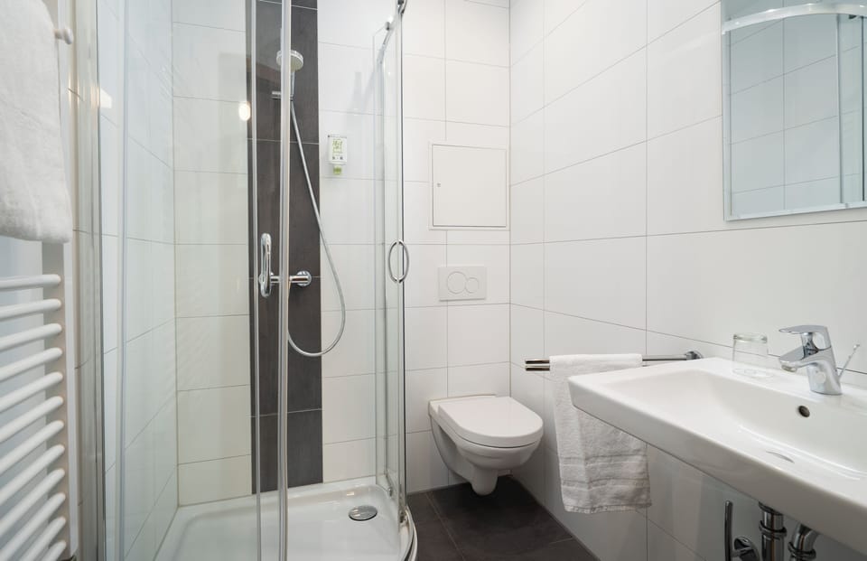 Shower, free toiletries, hair dryer, towels