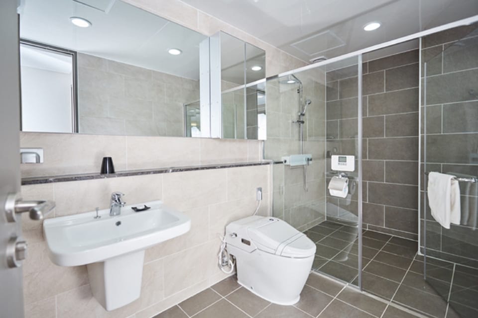 Shower, free toiletries, hair dryer, towels