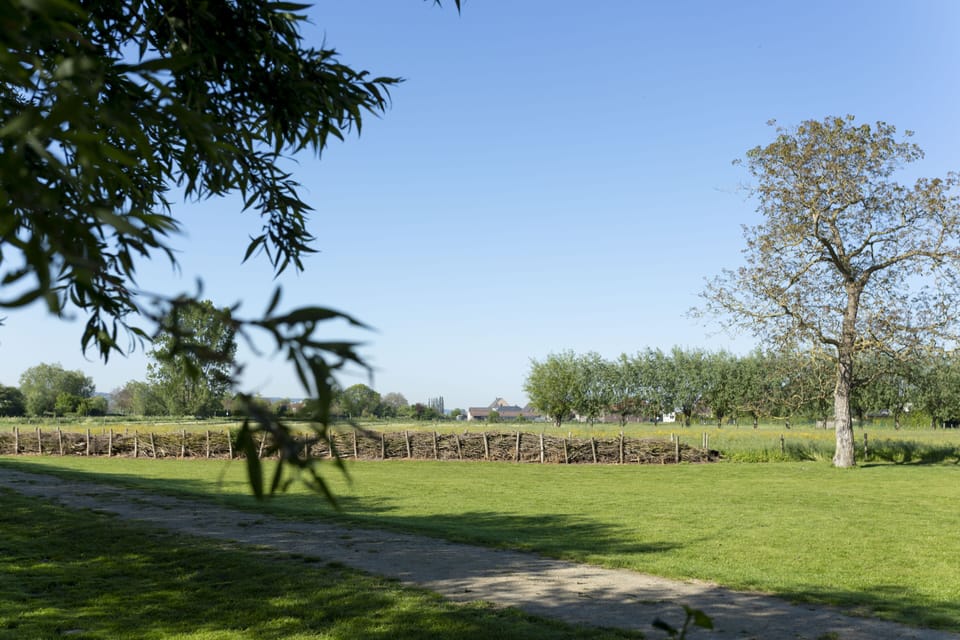 Group accommodation at the Koppenberg with Sauna and Tree House | View from room