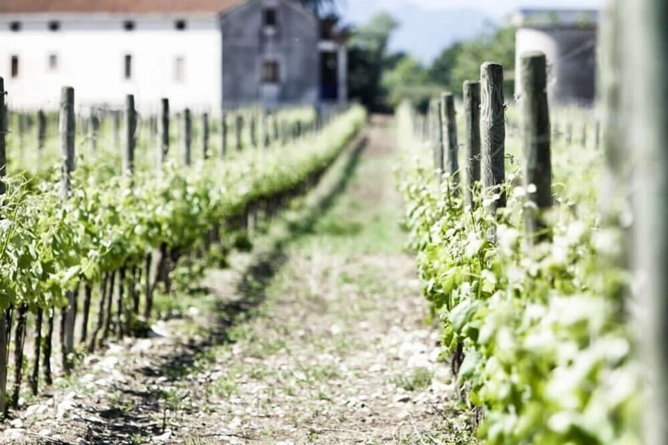 Winery