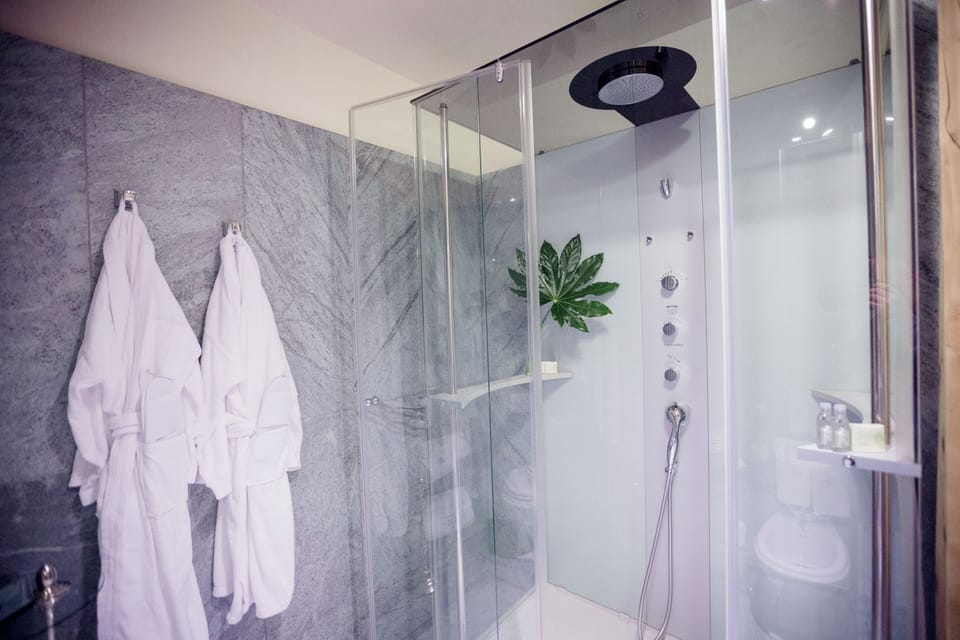 Premium Suite | Bathroom | Rainfall showerhead, free toiletries, hair dryer, towels