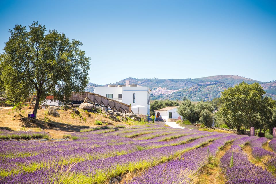 Quinta das Lavandas Farm Stay in Extremadura, Spain