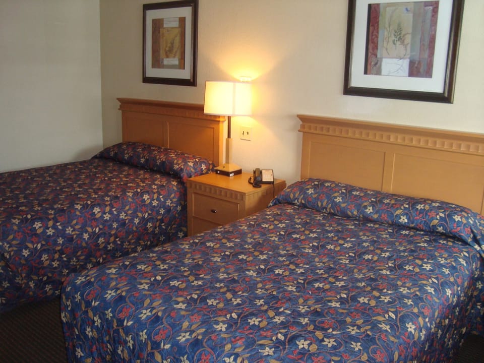 Two Double Bed | Individually decorated, individually furnished, desk, free WiFi