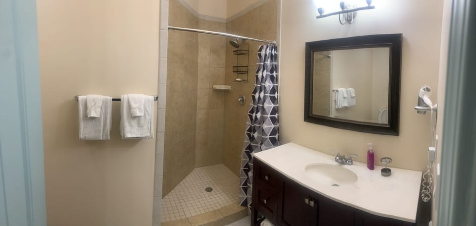 Apartment | Bathroom | Combined shower/tub, free toiletries, hair dryer, towels
