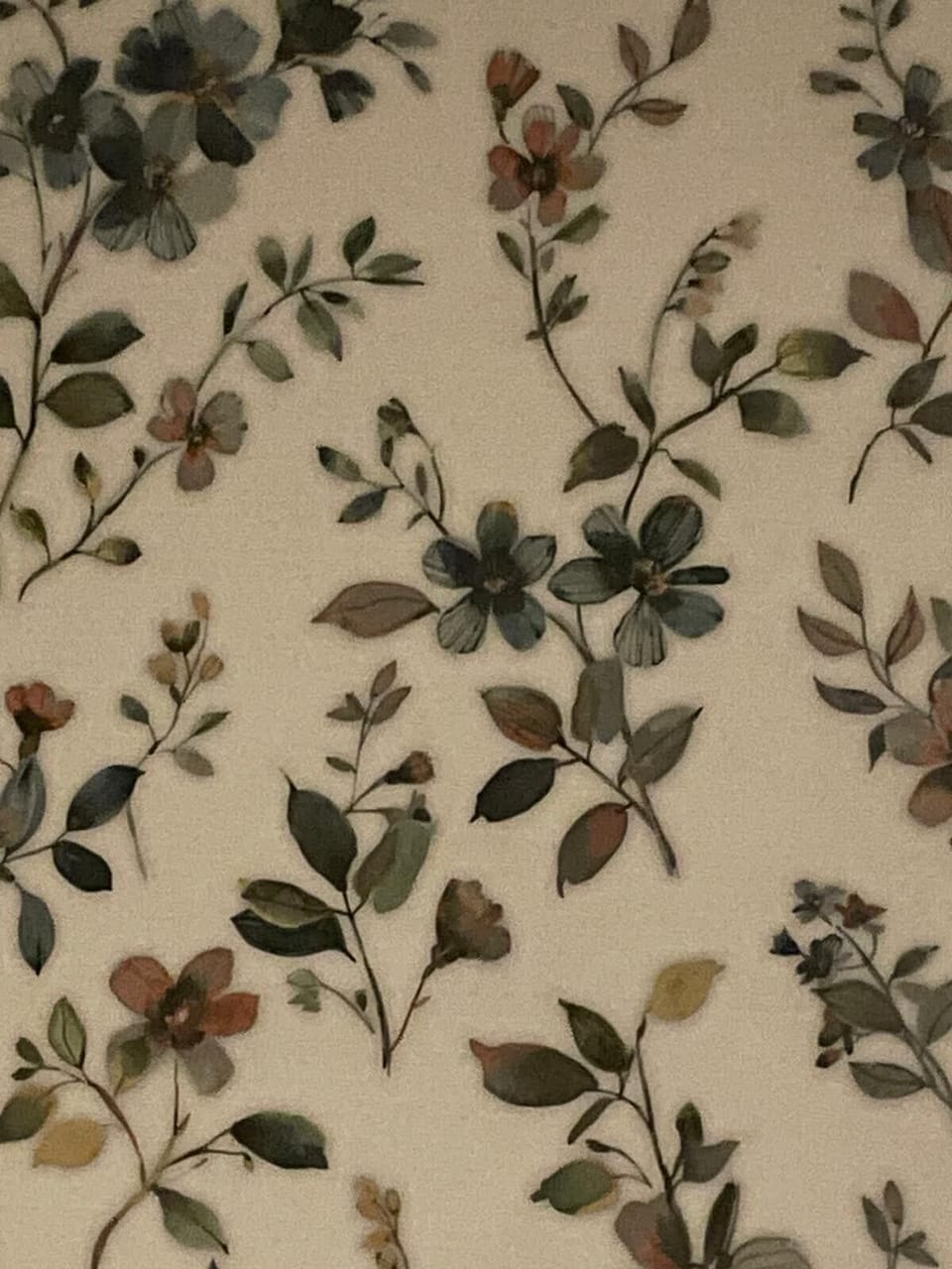 Shower, rainfall showerhead, free toiletries, hair dryer