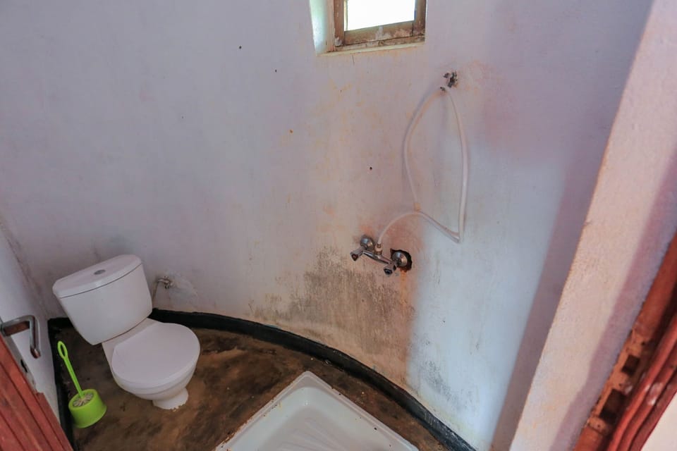 Standard Double Room | Bathroom | Shower, free toiletries, towels