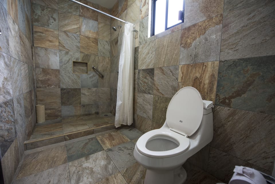 Shower, free toiletries, towels