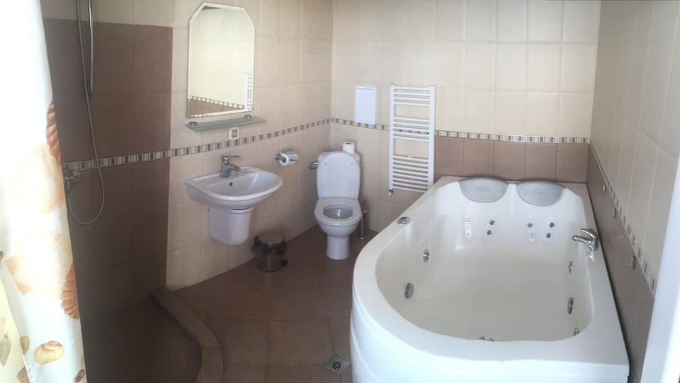 Panoramic Apartment, 1 Bedroom, Hot Tub | Bathroom | Shower, hair dryer, towels