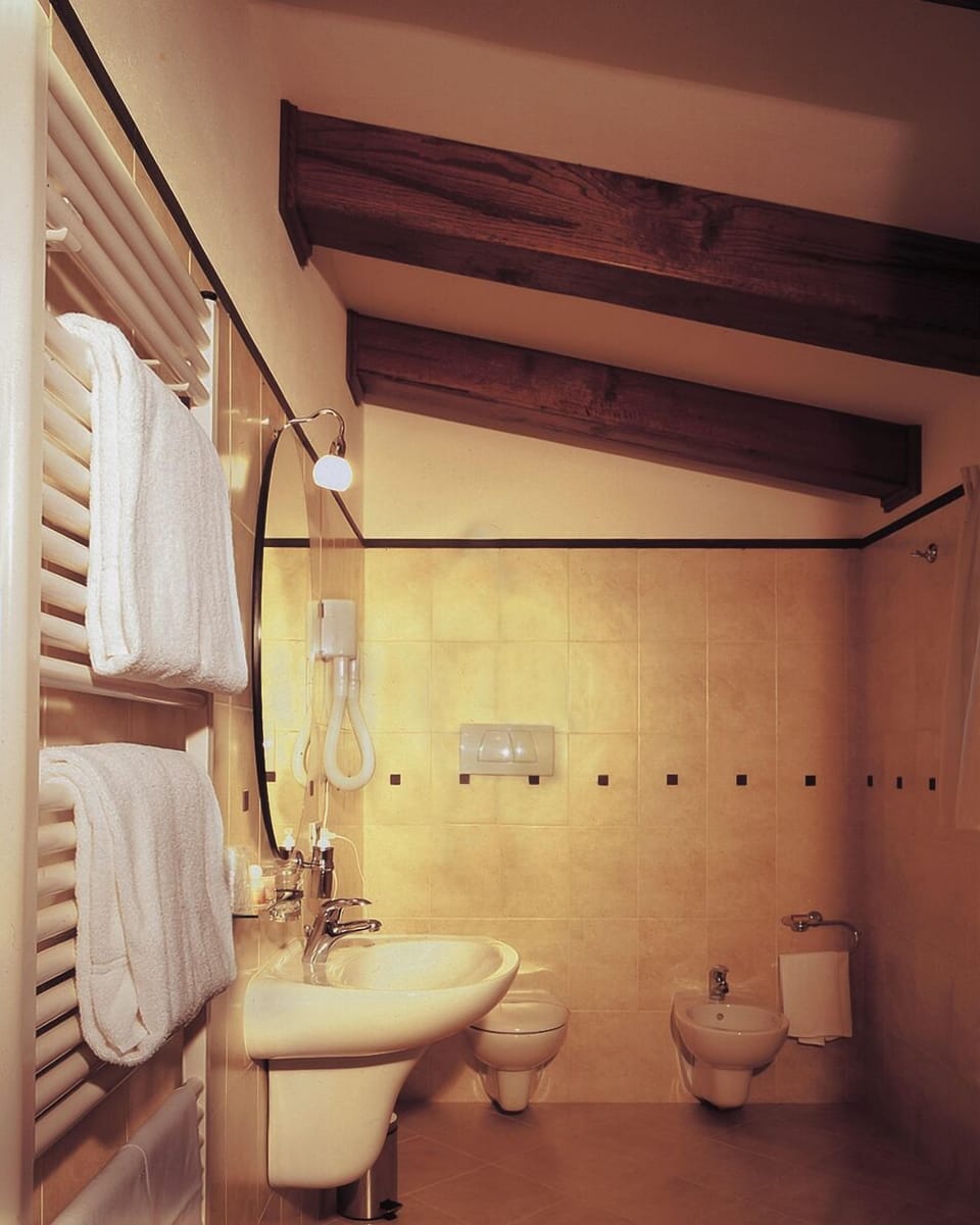 Shower, free toiletries, hair dryer, bidet