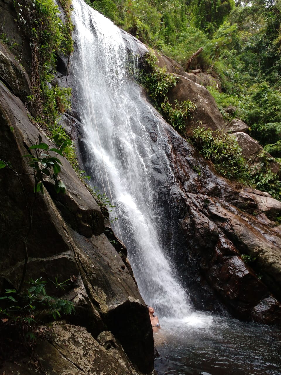 Ecotours
