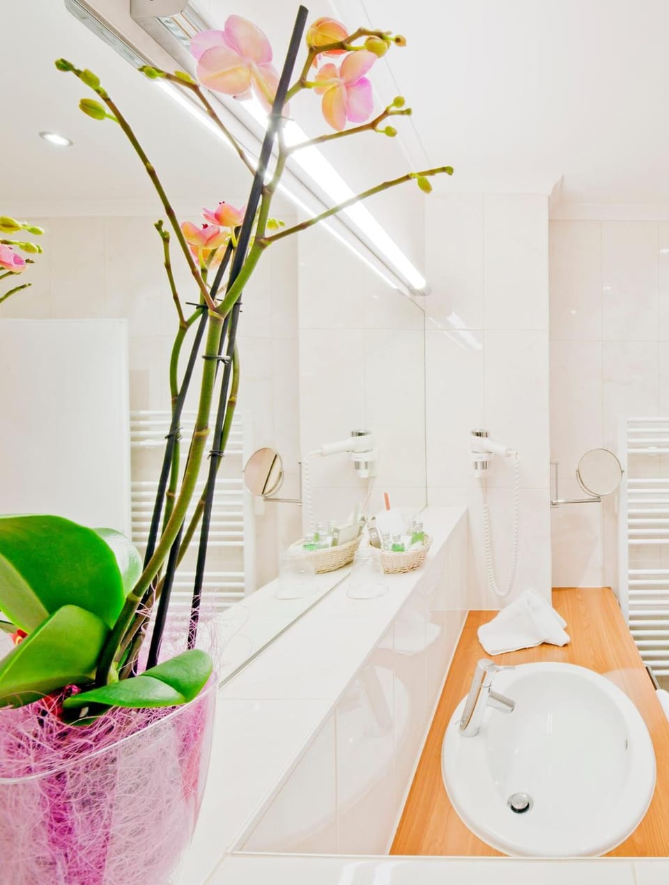 Hair dryer, bathrobes, towels