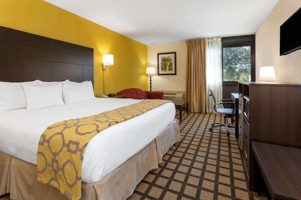 Room, 1 King Bed, Non Smoking | Hypo-allergenic bedding, in-room safe, desk, blackout drapes