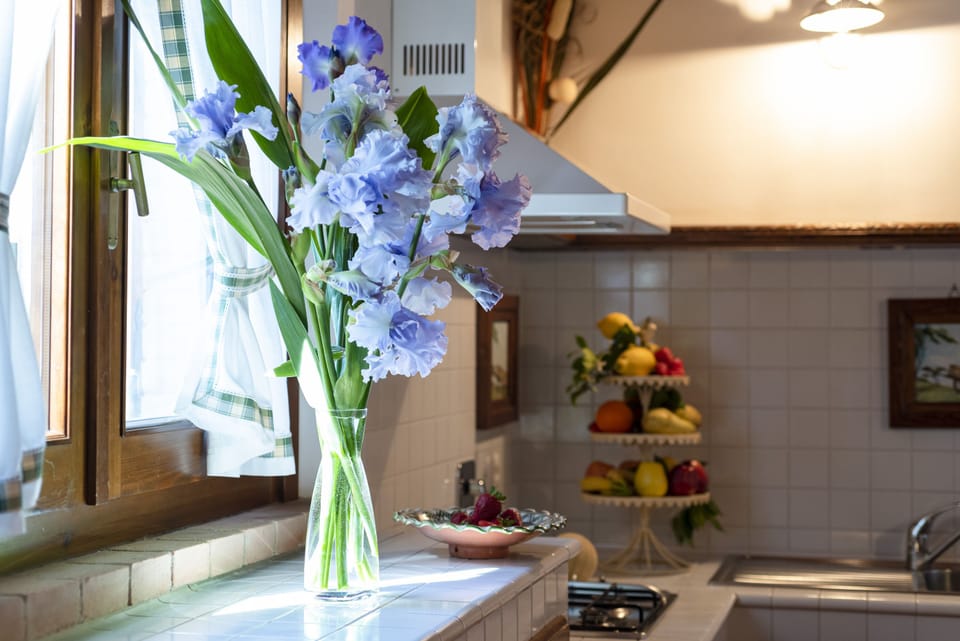 Apartment, 1 Bedroom, Kitchen | Private kitchen | Fridge