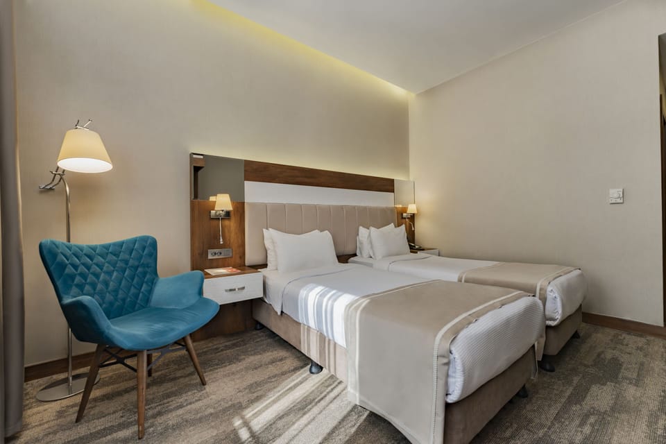 Standard Double Room | Minibar, in-room safe, soundproofing, iron/ironing board