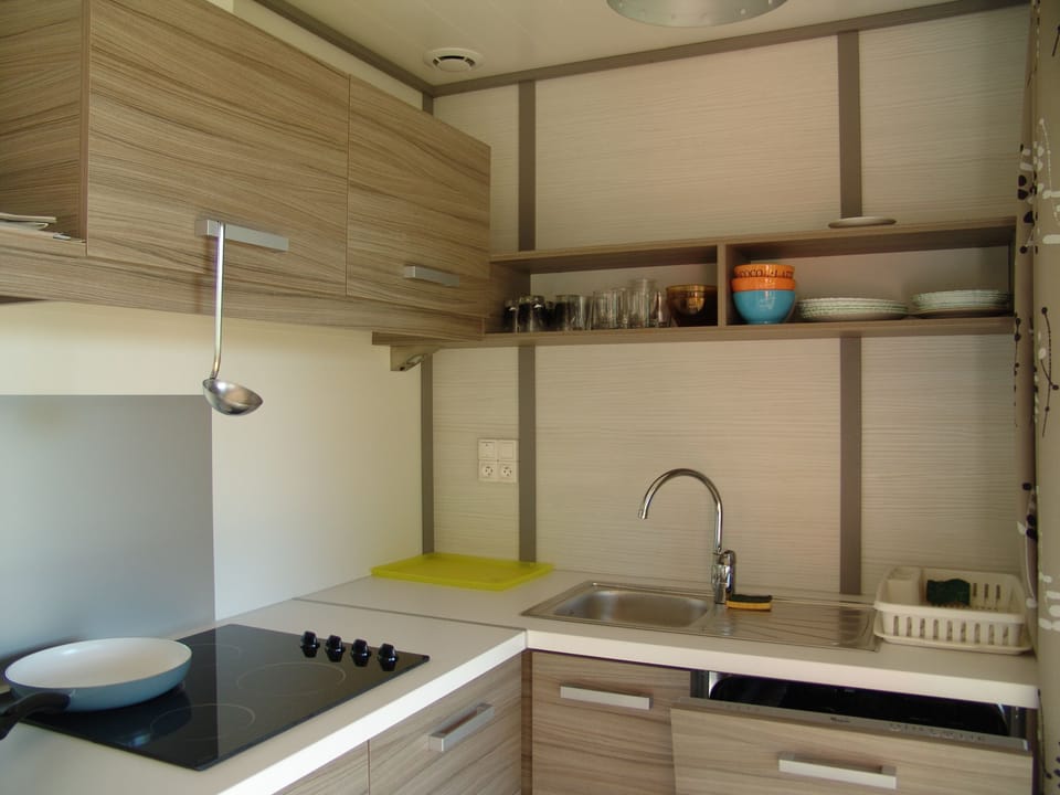 Fridge, stovetop, cookware/dishes/utensils