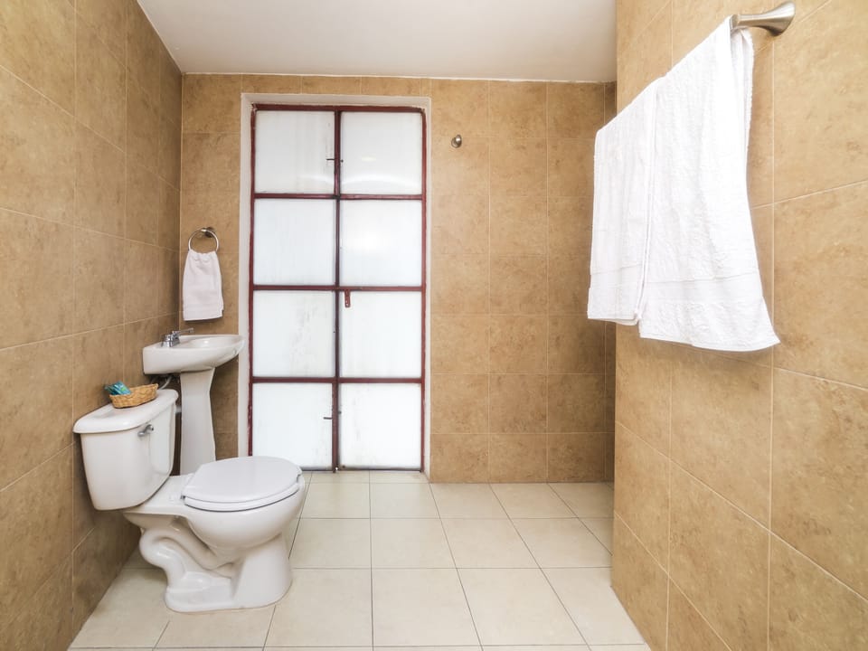 Shower, free toiletries, towels, soap