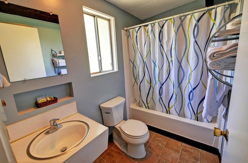 Classic Double Room, 1 Bedroom, Non Smoking, Refrigerator & Microwave | Bathroom | Combined shower/tub, free toiletries, hair dryer, towels