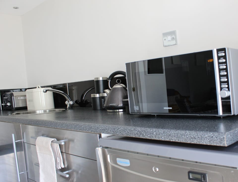 Luxury Studio (Apartment) | Private kitchen | Fridge, microwave, coffee/tea maker, electric kettle