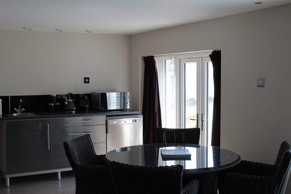 Luxury Studio (Apartment) | Private kitchen | Fridge, microwave, coffee/tea maker, electric kettle