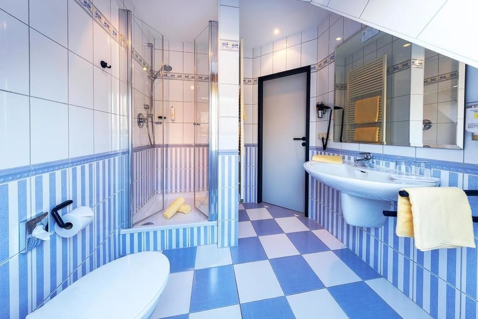 Deluxe Double Room | Bathroom | Shower, hair dryer, towels