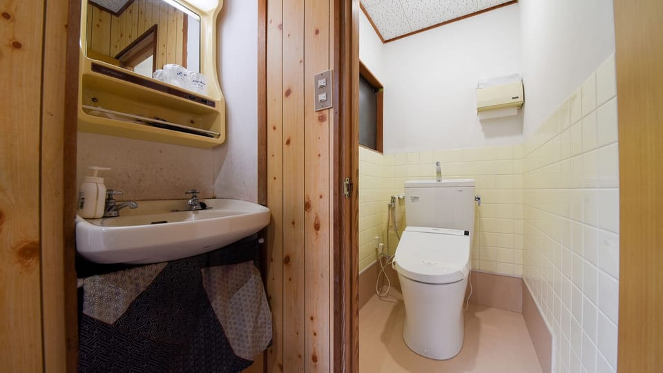 Hair dryer, bidet