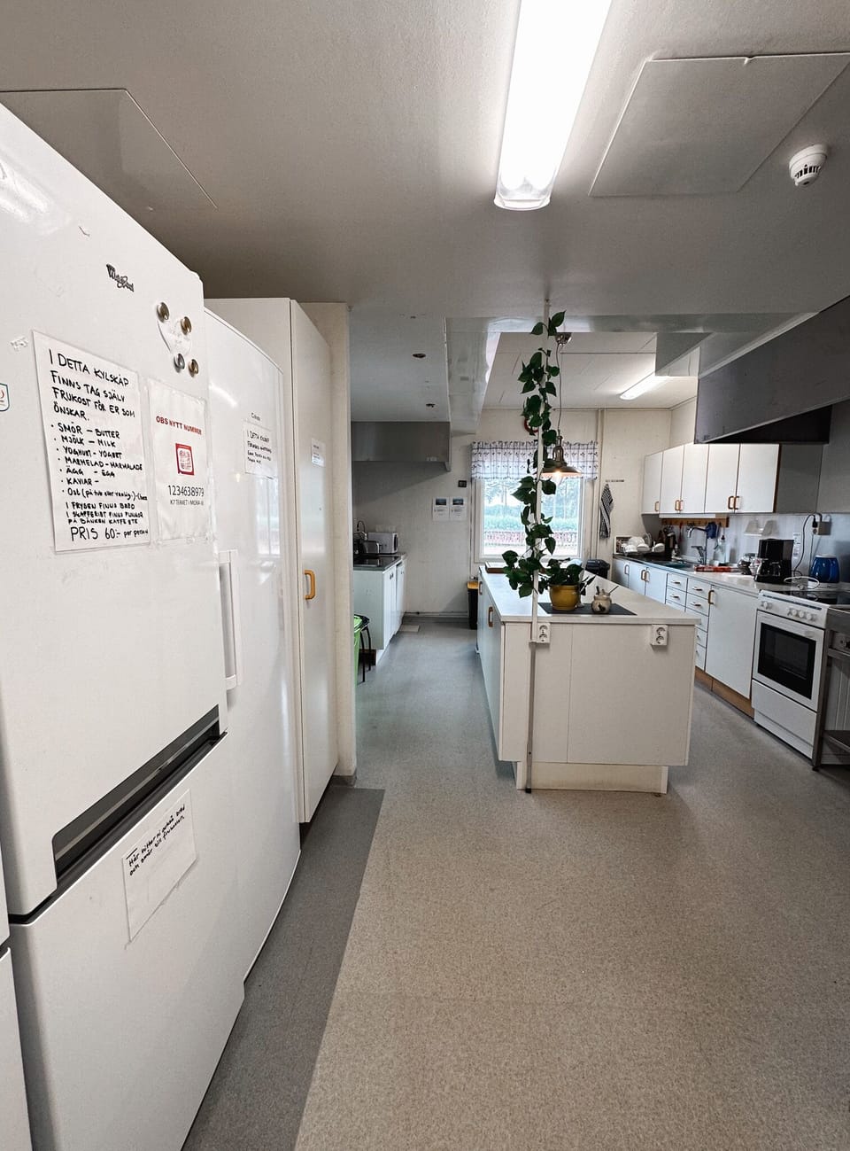Basic Double Room, Shared Bathroom | Shared kitchen | Fridge, microwave, oven, stovetop